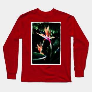 Bird of Paradise Long Sleeve T-Shirt